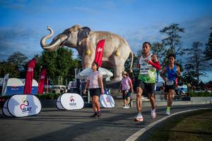 BIB: 
                            <button type="button" onclick="openModal(26541772)" class="btn btn-primary btn-sm float-right btn-popup" data-toggle="modal" data-target=".modal-high-quality">
                        <i class="fas fa-shopping-cart"></i> Add to Cart
                    </button>
                                            <button type="button" onclick="isThisMe(26541772, true)" class="btn btn-success btn-sm float-right btn-popup btn-isme hidden" data-toggle="tooltip" data-placement="bottom" title="นี่คือรูปของคุณใช่ไหม คลิกที่นี่เพื่อเอาเข้าอัลบั้ม">
                        <i class="fas fa-plus"></i> Add to album
                    </button>
                    <button type="button" onclick="isThisMe(26541772, false)" class="btn btn-warning btn-sm float-right btn-popup btn-isnotme hidden">
                        <i class="fas fa-ban"></i> Remove from album
                    </button>